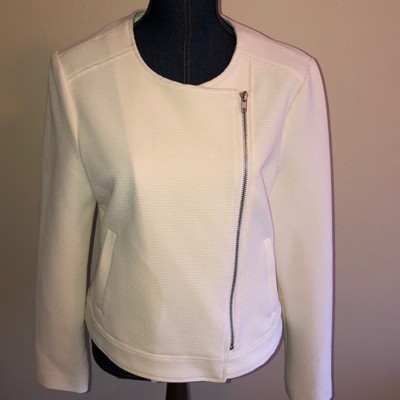 cupcakes & cashmere Jackets & Blazers - Cupcakes and Cashmere Waffle Moto Jacket NWT